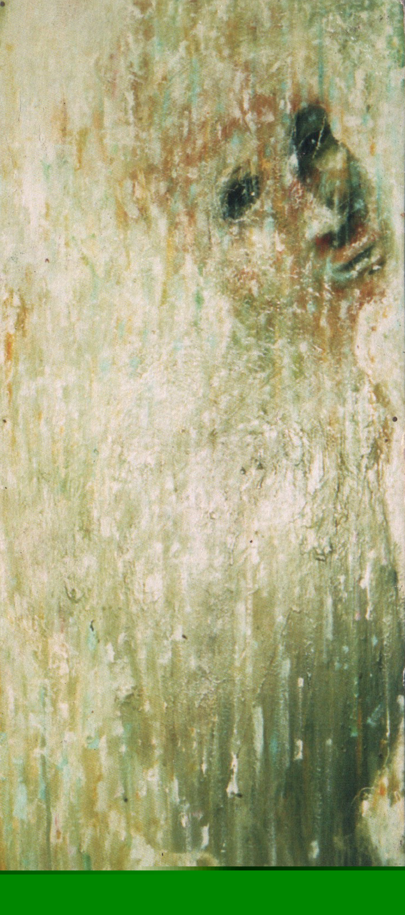 Isha Black 1994 Rainboy