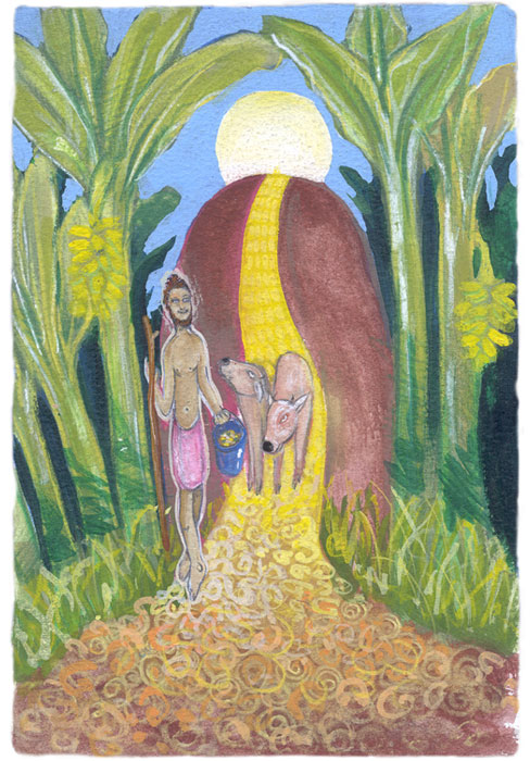 Isha Black 2000 Our cows sneak off and follow the sunlight down the hills