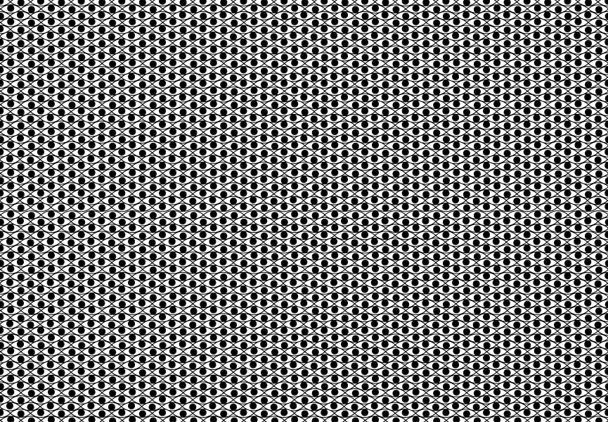 Isha Black 2013 Brahman